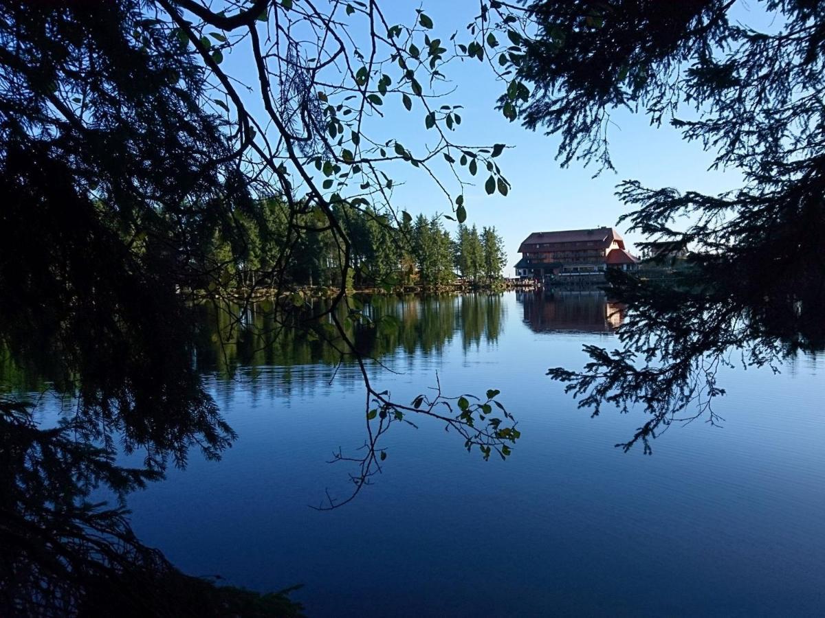 Fewo Vogesenblick Lägenhet Lauf Exteriör bild