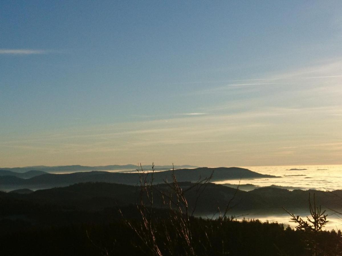Fewo Vogesenblick Lägenhet Lauf Exteriör bild