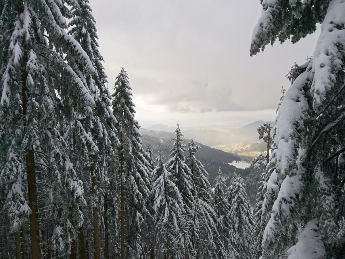 Fewo Vogesenblick Lägenhet Lauf Exteriör bild